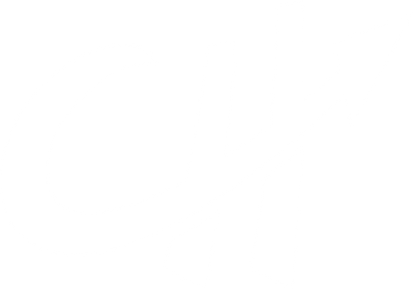 CurbHopper Customs logo